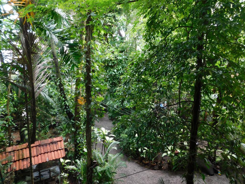 Green Woods Bethlehem Kochi 외부 사진