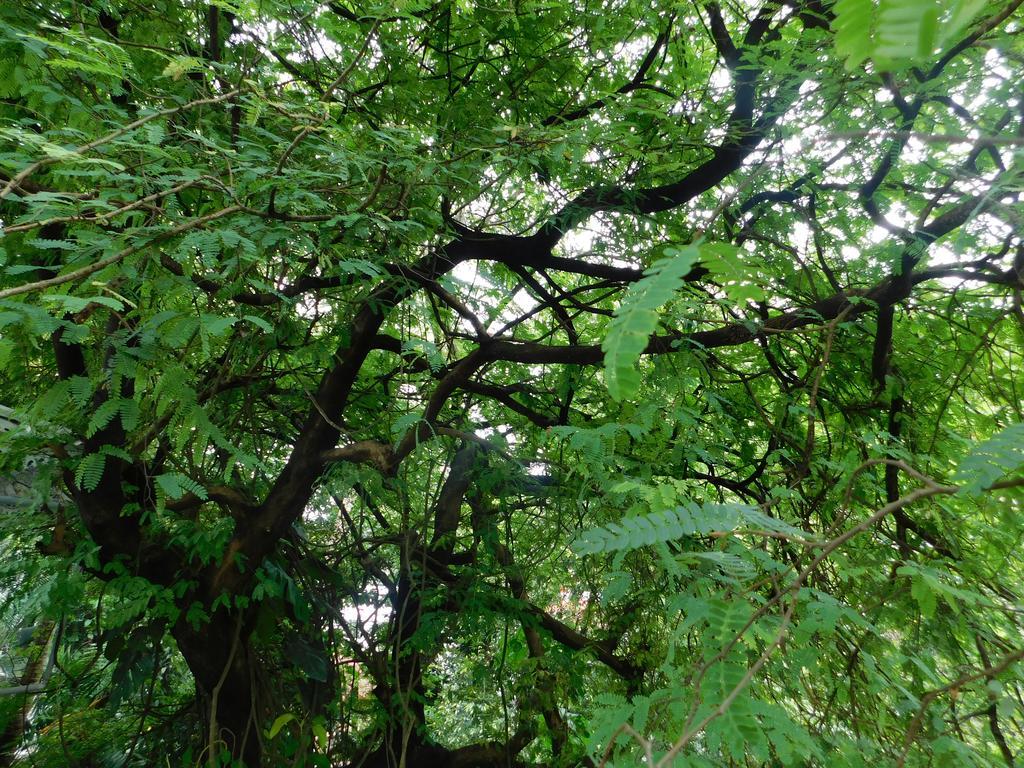 Green Woods Bethlehem Kochi 외부 사진