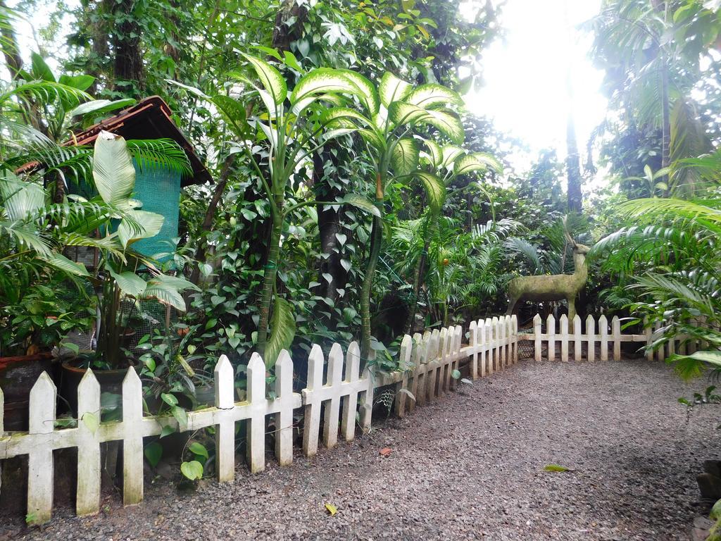 Green Woods Bethlehem Kochi 외부 사진